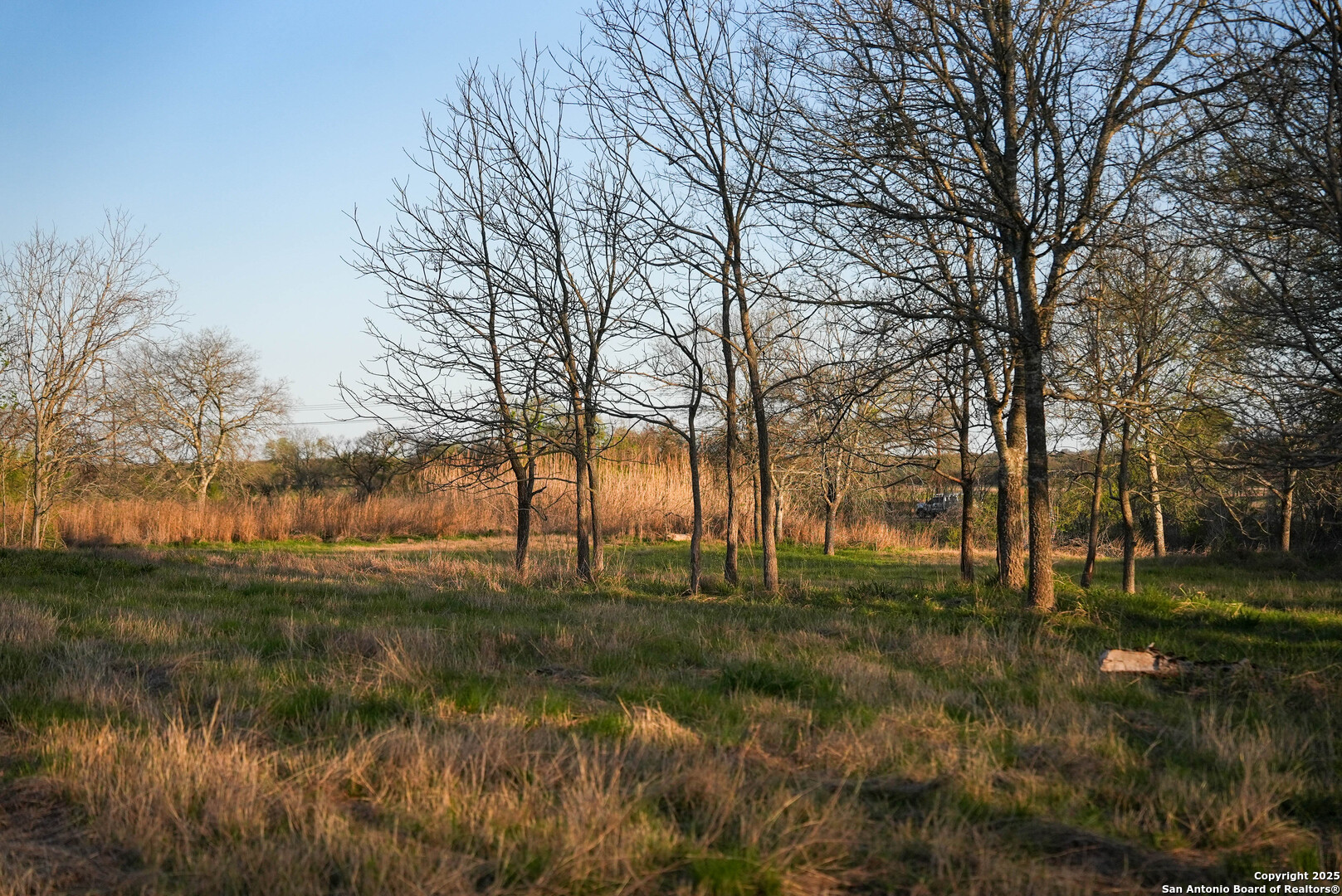 Tbd Lost Acres Loop Blanco TX 78606