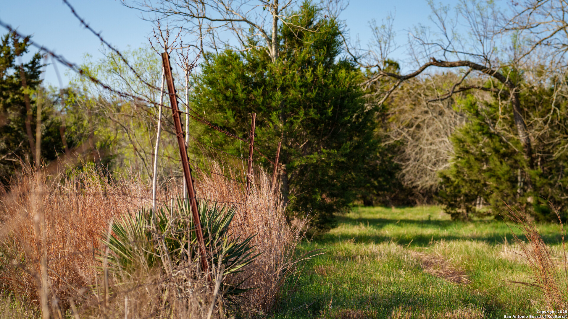 Tbd Lost Acres Loop Blanco TX 78606
