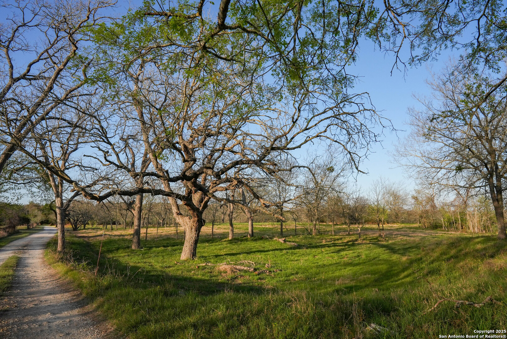 Tbd Lost Acres Loop Blanco TX 78606