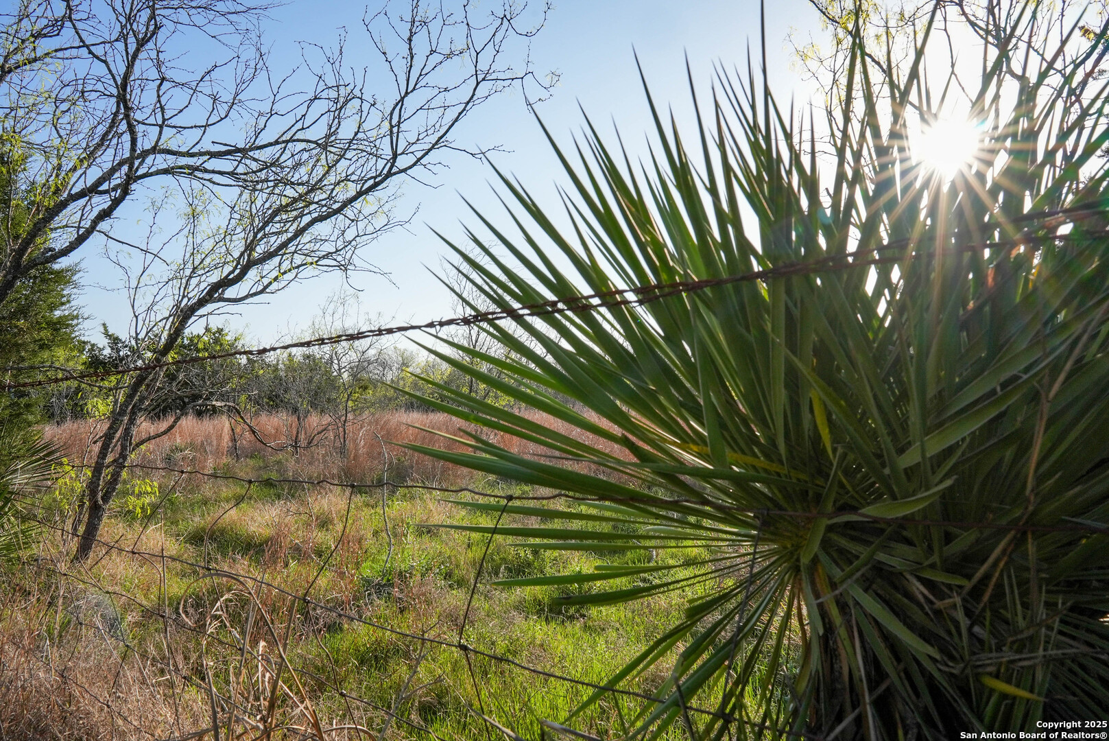 Tbd Lost Acres Loop Blanco TX 78606