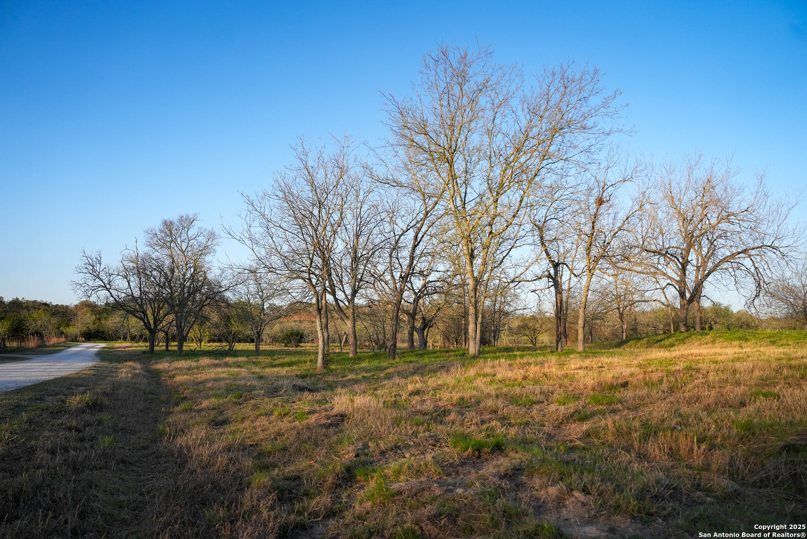 Tbd Lost Acres Loop Blanco TX 78606
