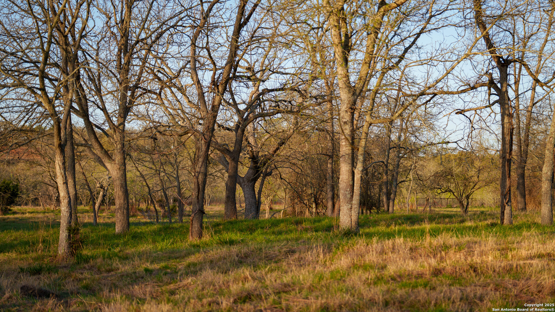Tbd Lost Acres Loop Blanco TX 78606