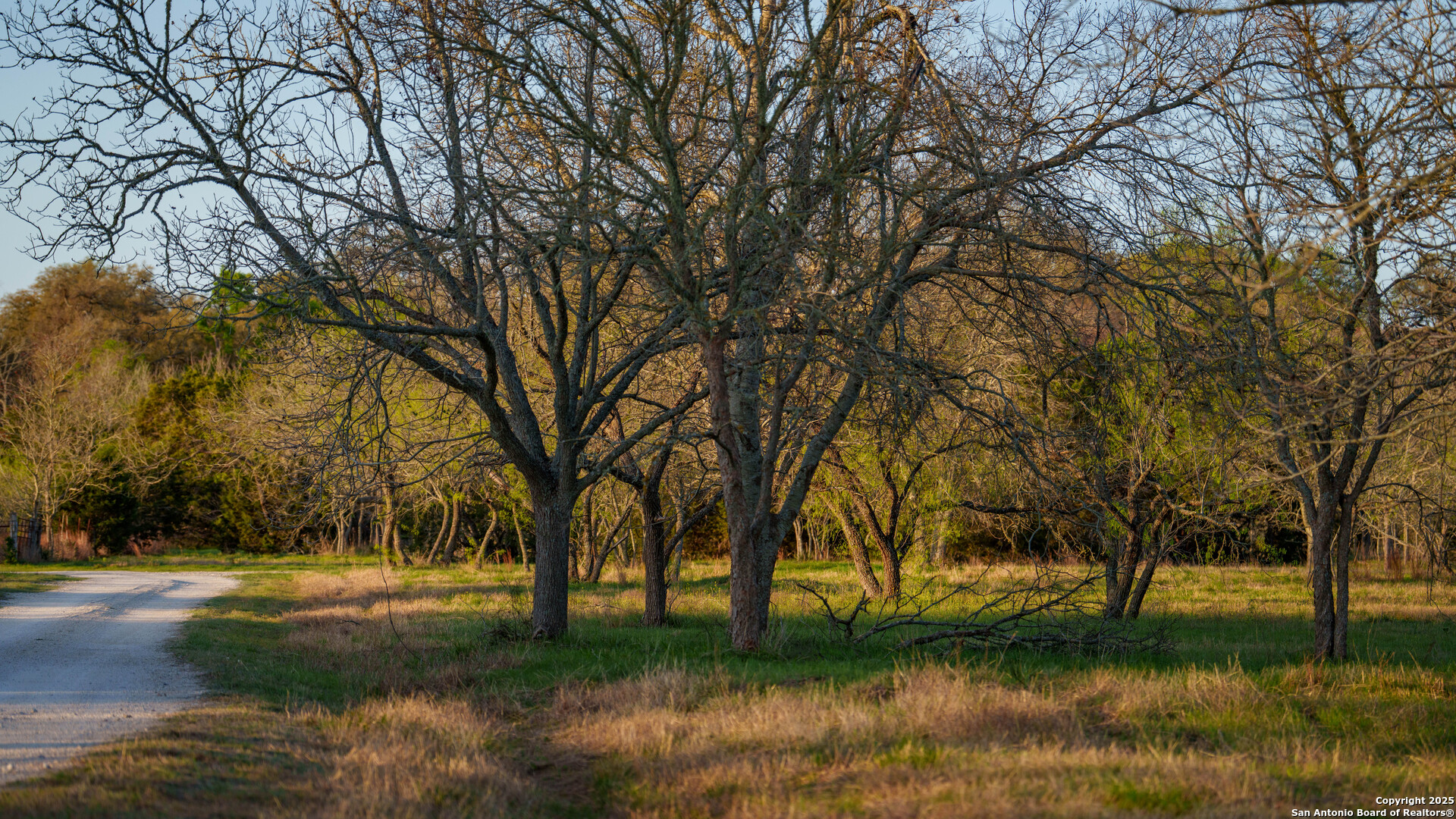 Tbd Lost Acres Loop Blanco TX 78606