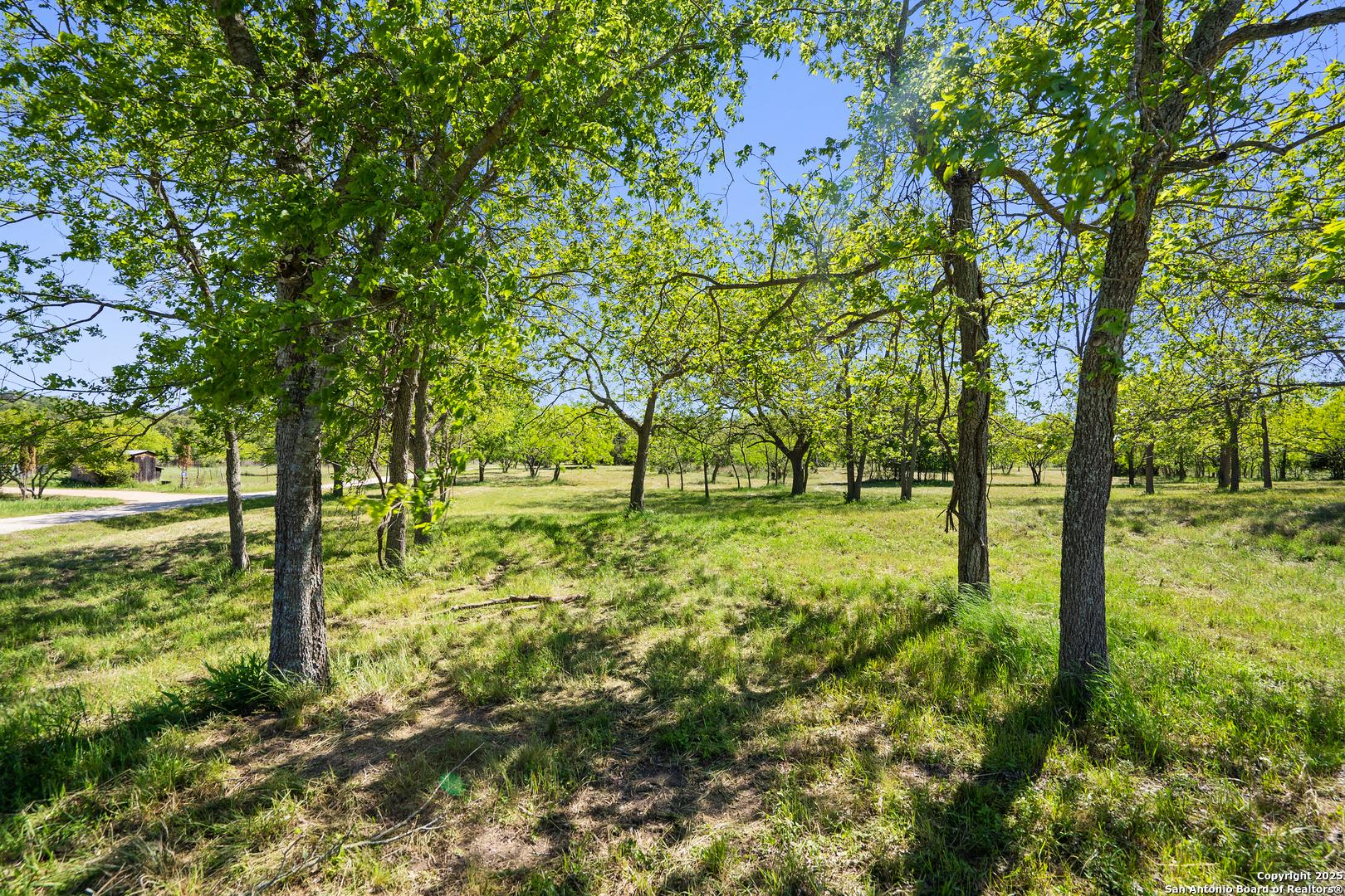 Tbd Lost Acres Loop Blanco TX 78606