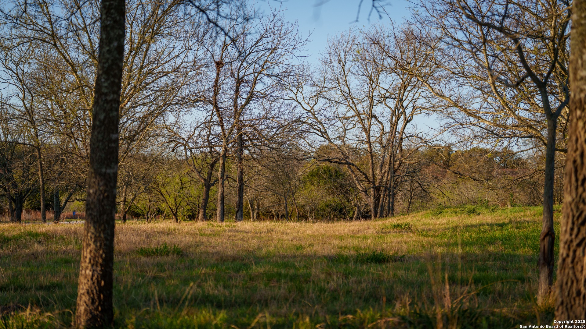 Tbd Lost Acres Loop Blanco TX 78606