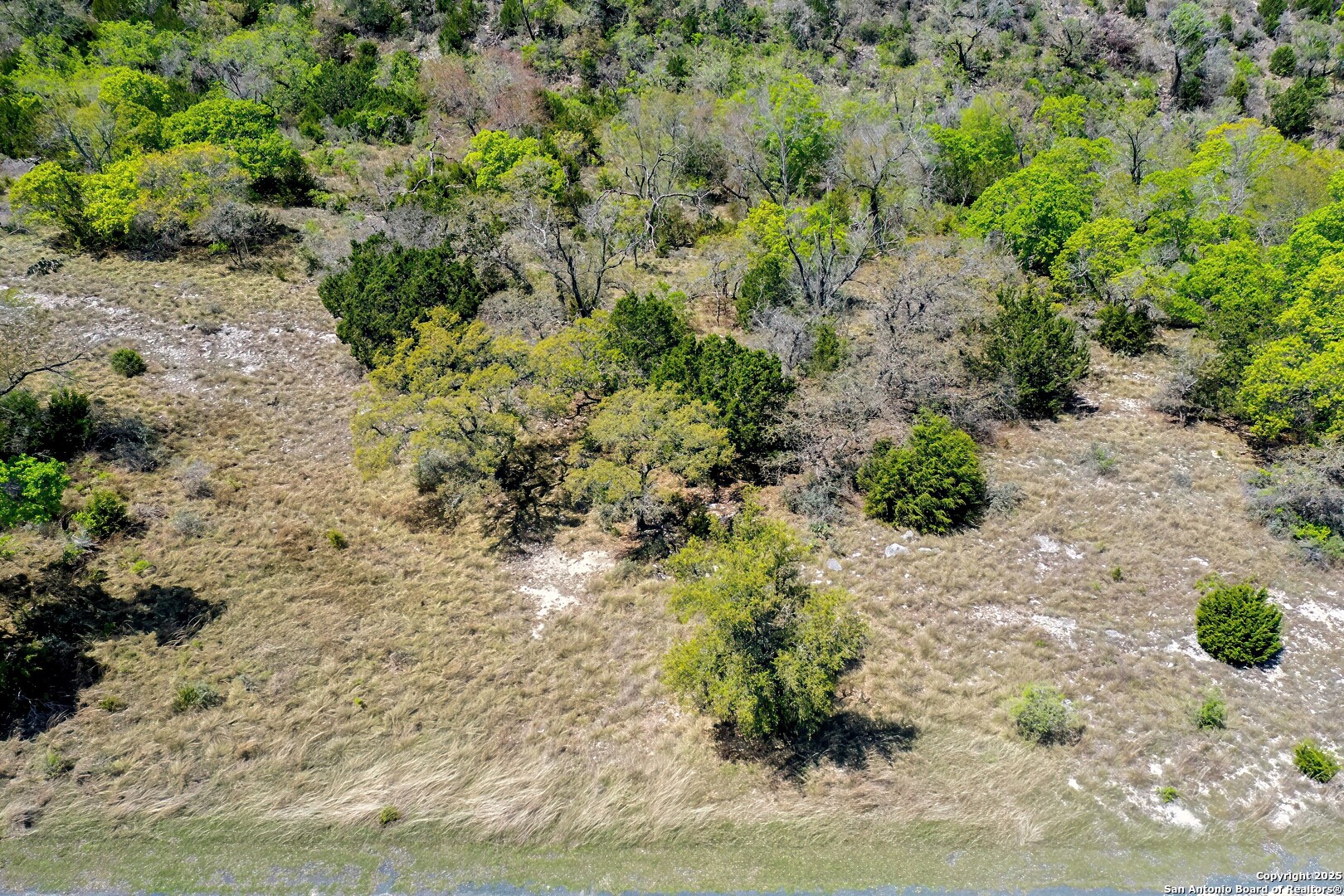 331 Echo Falls Comfort TX 78013