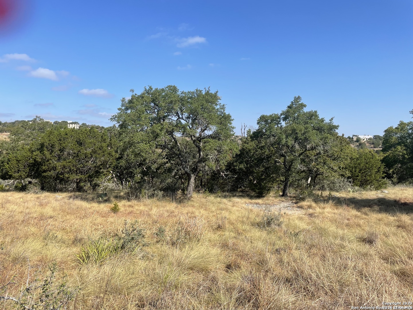 331 Echo Falls Comfort TX 78013