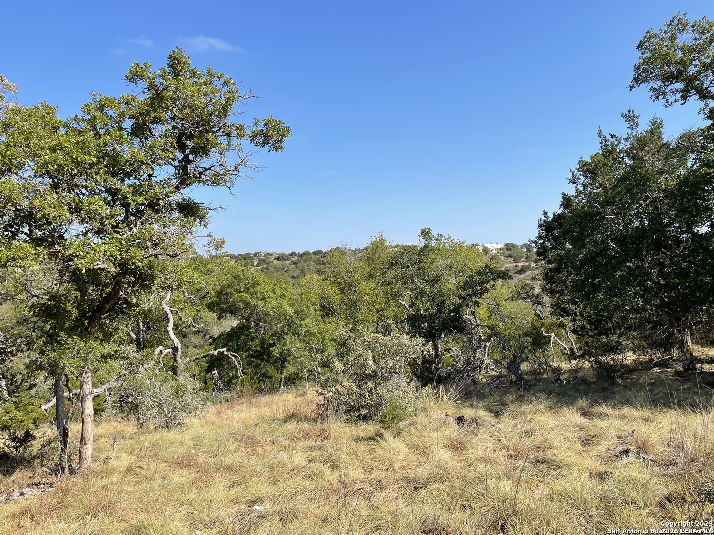 331 Echo Falls Comfort TX 78013