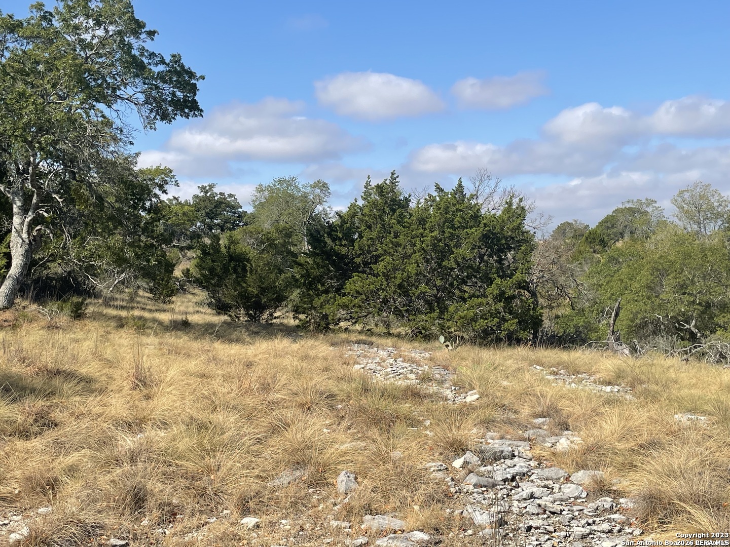 331 Echo Falls Comfort TX 78013