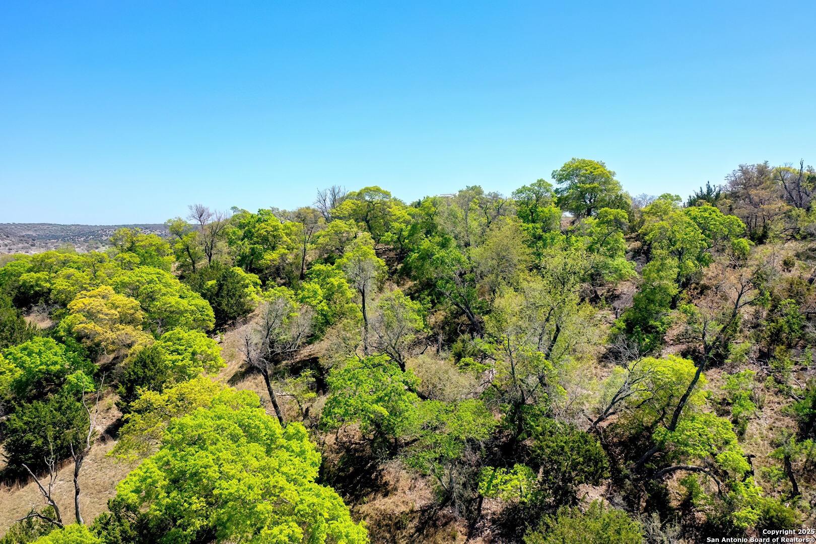 331 Echo Falls Comfort TX 78013