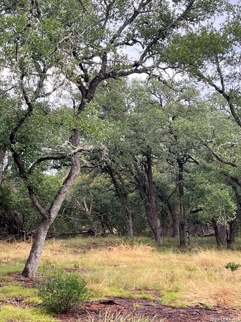 30 Clearwater Canyon Bandera TX 78003