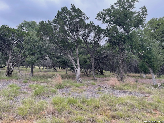 30 Clearwater Canyon Bandera TX 78003