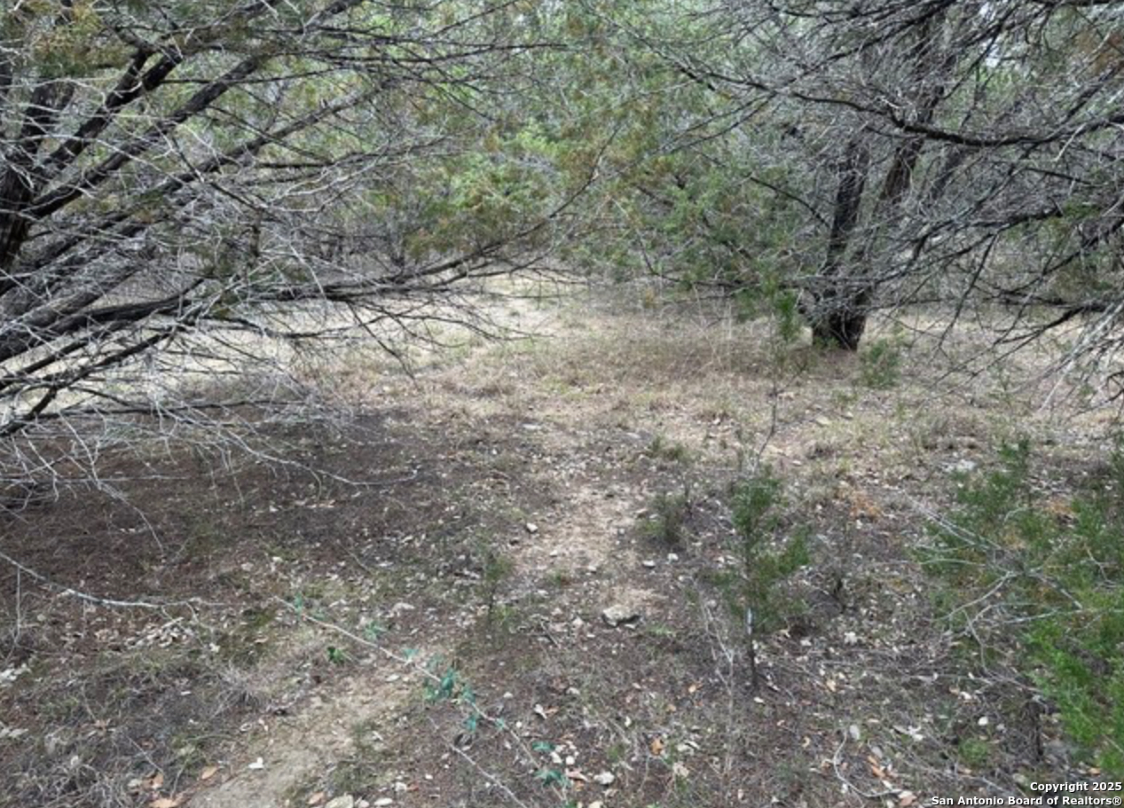 Lot #70 Forest Oaks Lakehills TX 78063