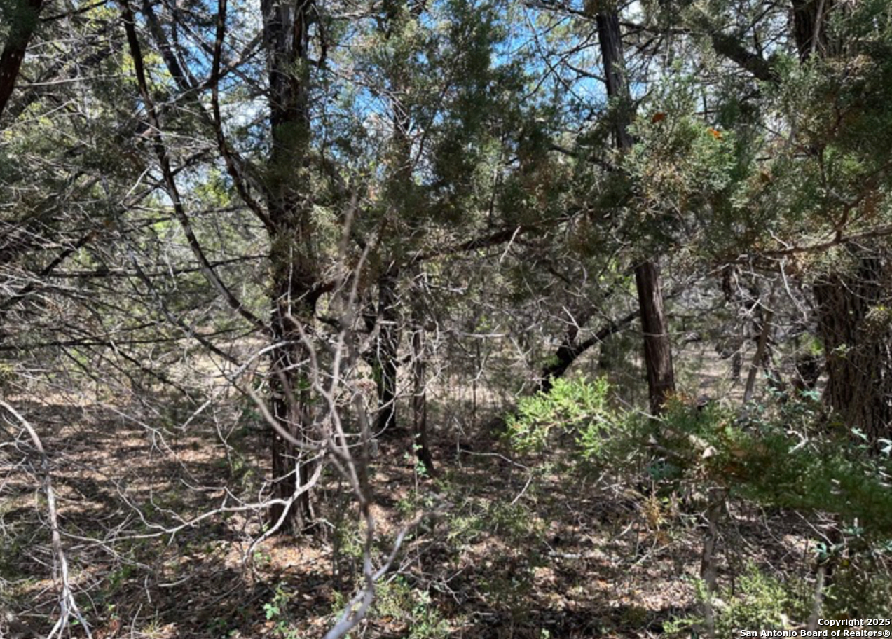 Lot #70 Forest Oaks Lakehills TX 78063