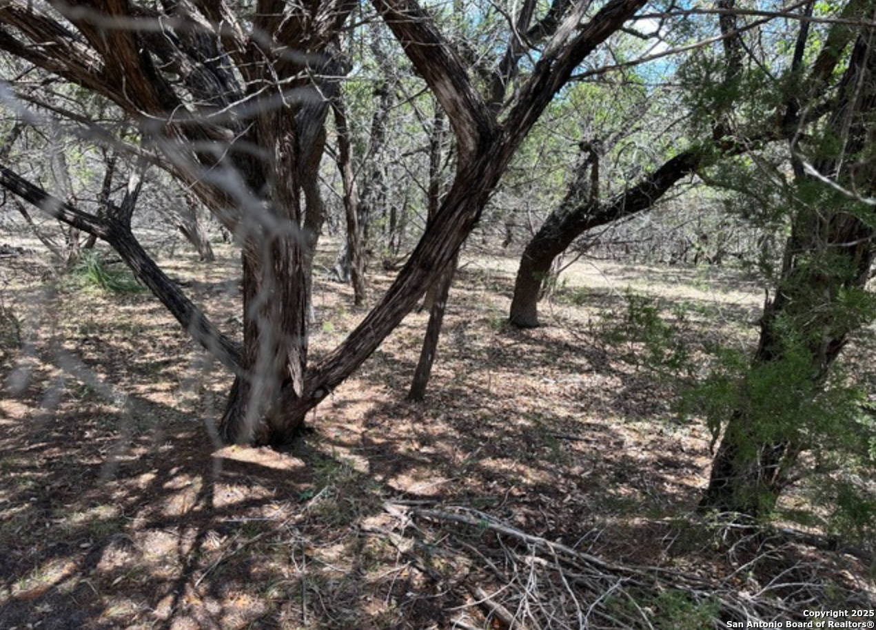 Lot #70 Forest Oaks Lakehills TX 78063