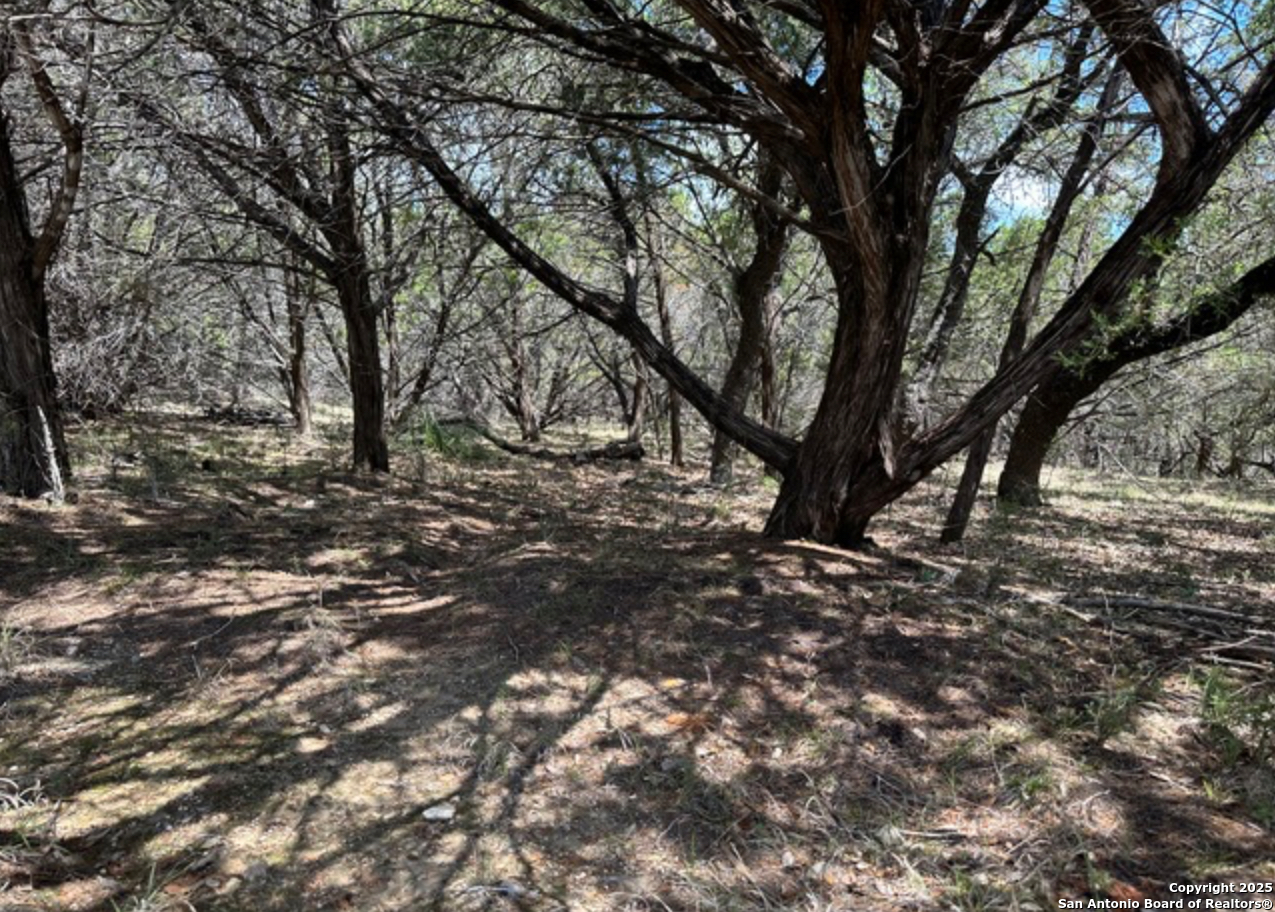 Lot #70 Forest Oaks Lakehills TX 78063