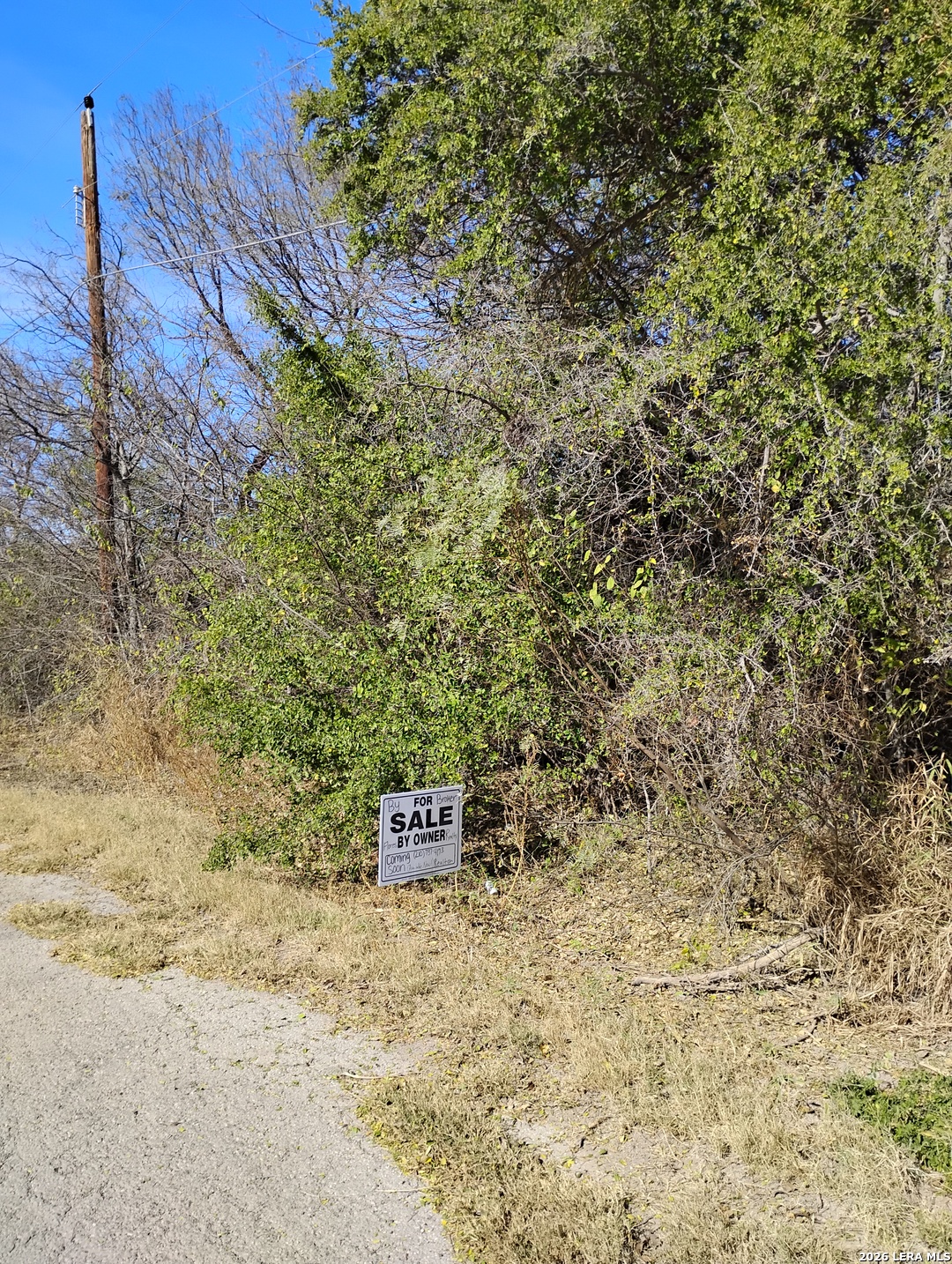 0 Abdalla Road Quemado TX 78877