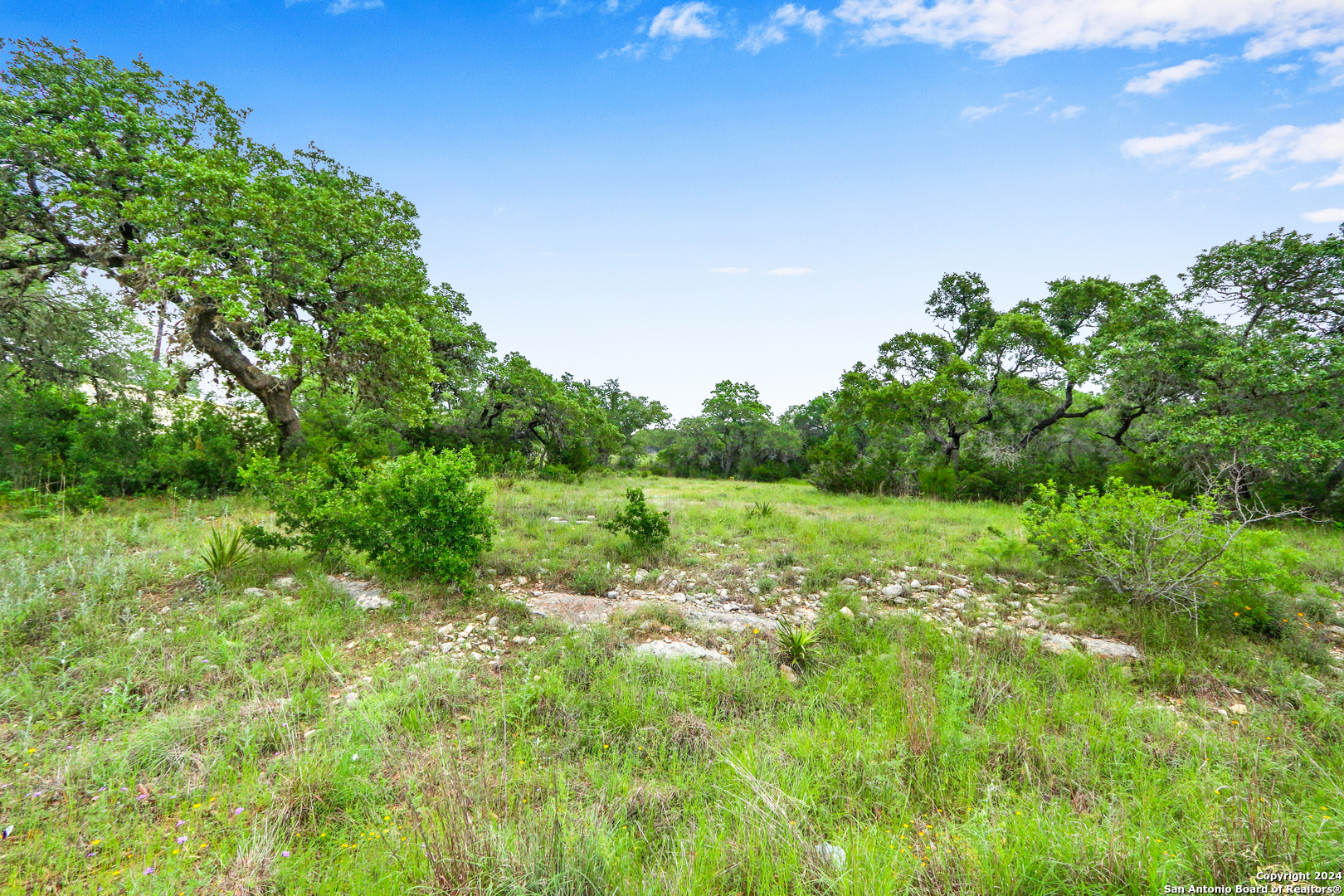 173 Berry Oaks Bulverde TX 78163