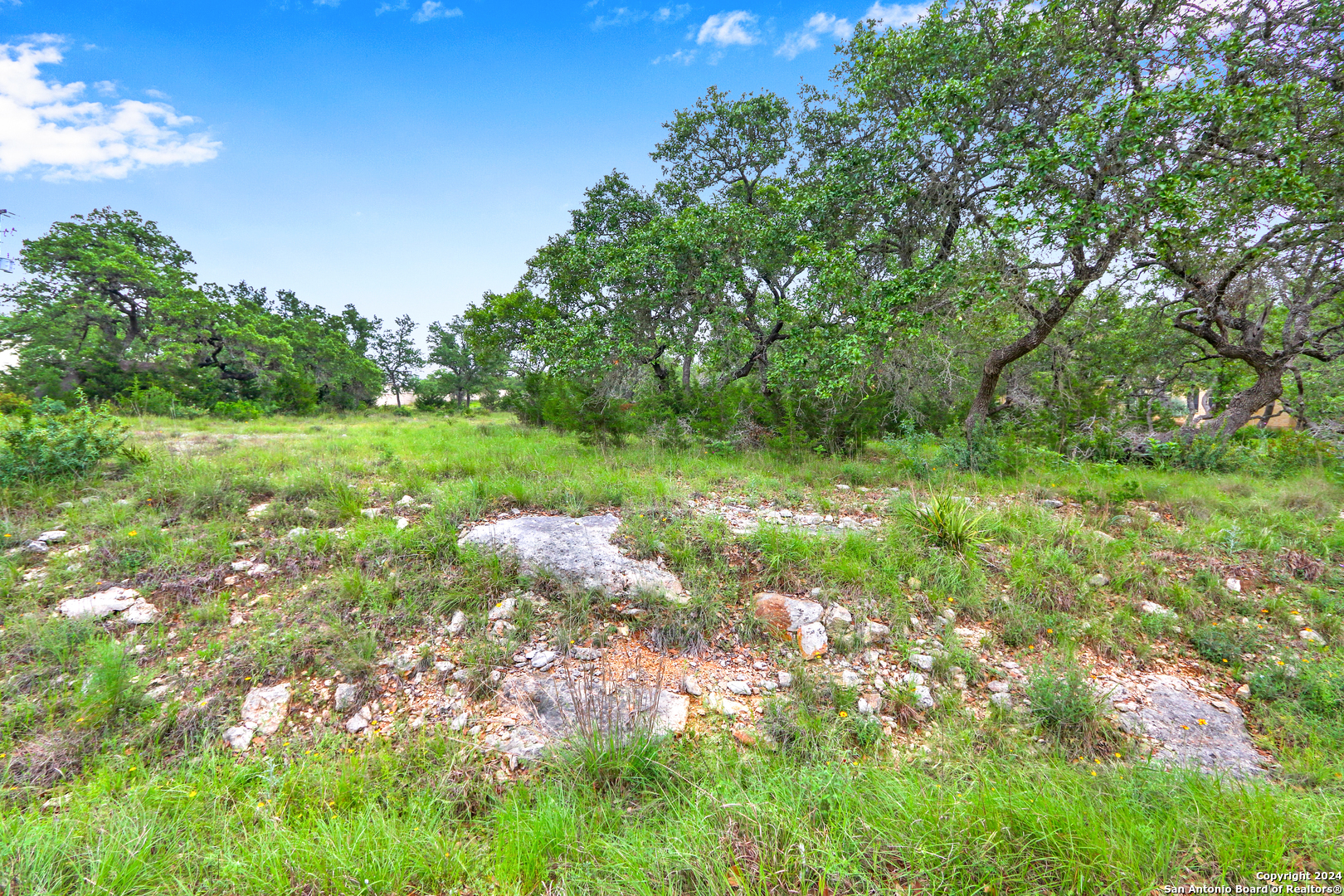 173 Berry Oaks Bulverde TX 78163