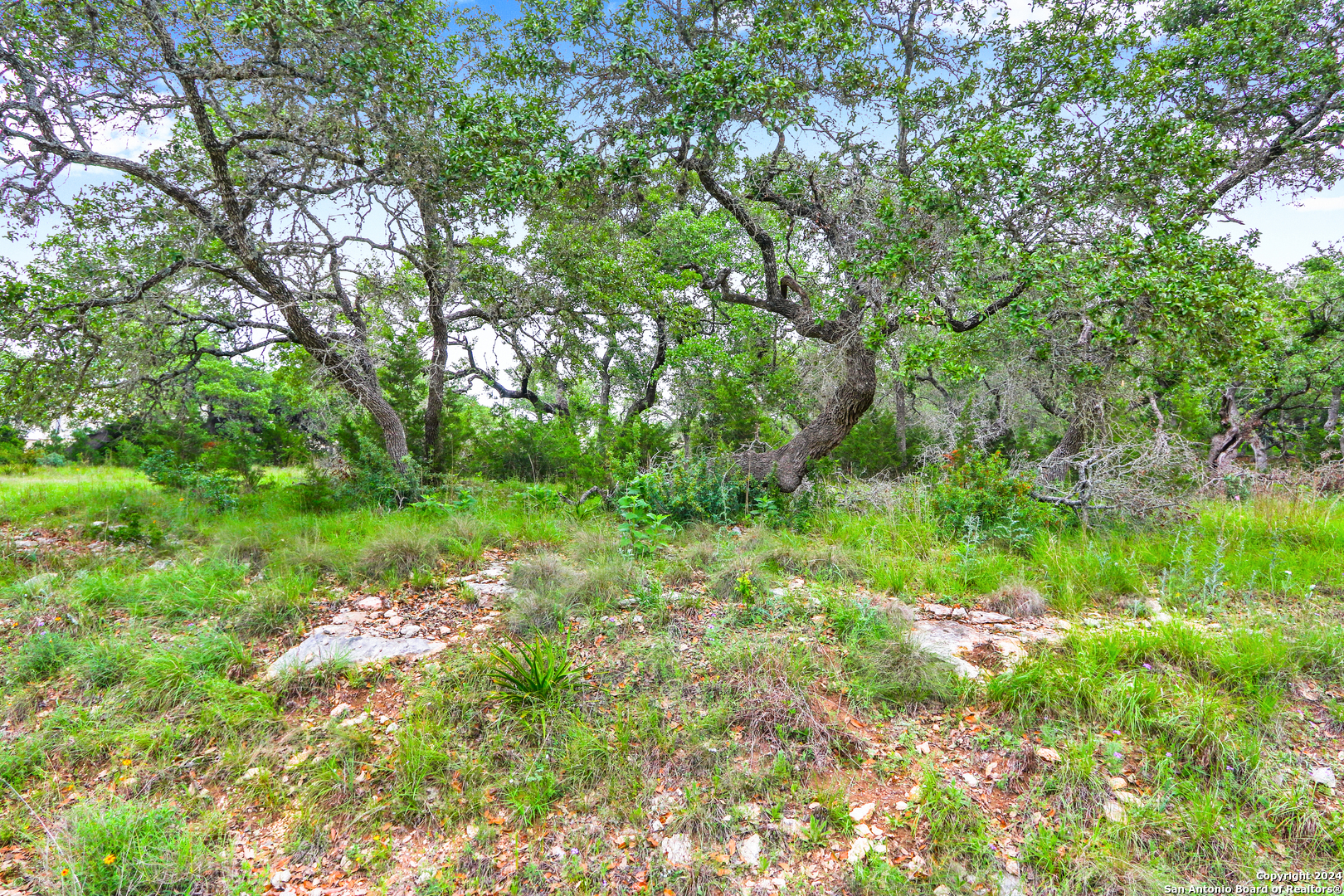 173 Berry Oaks Bulverde TX 78163