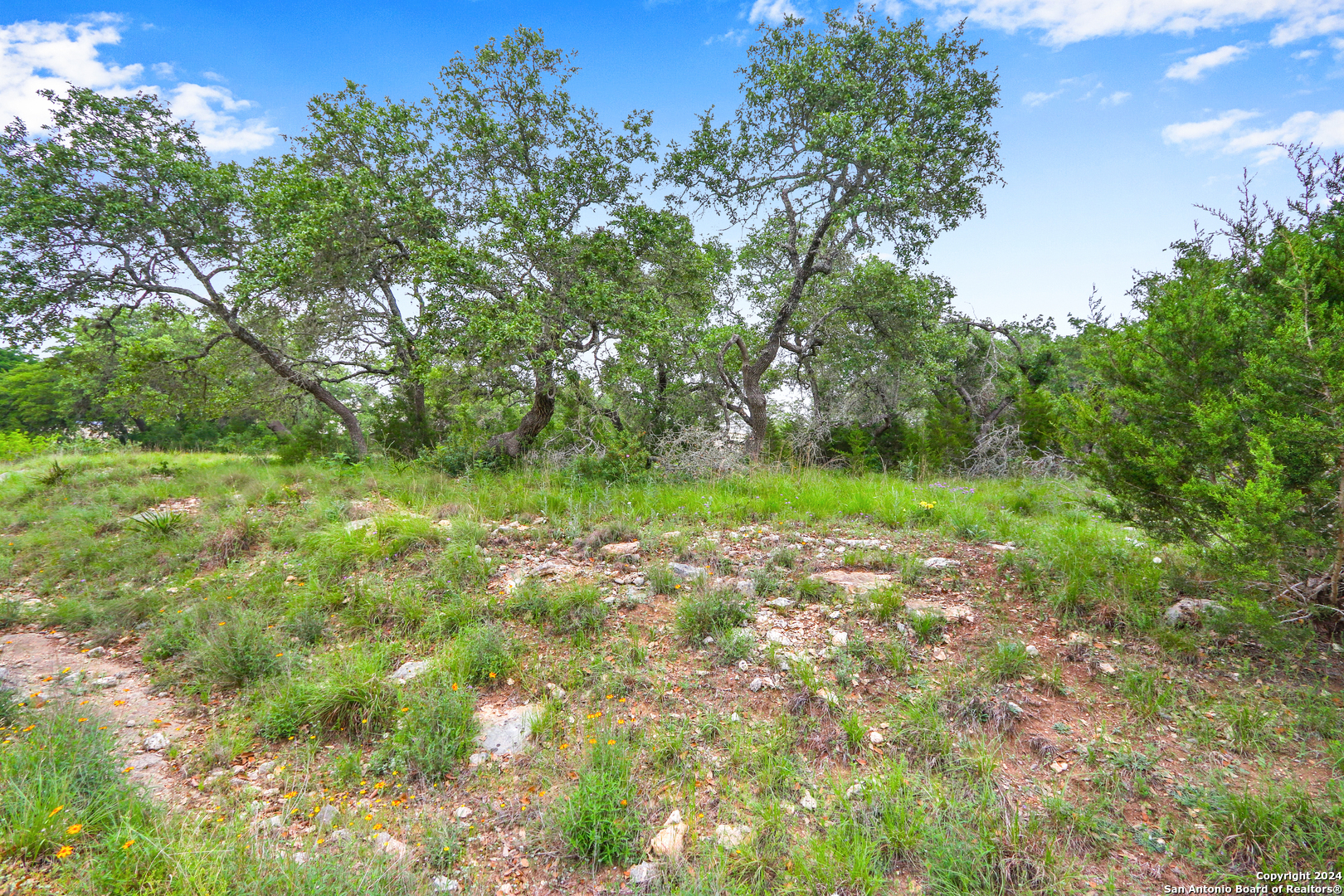 173 Berry Oaks Bulverde TX 78163