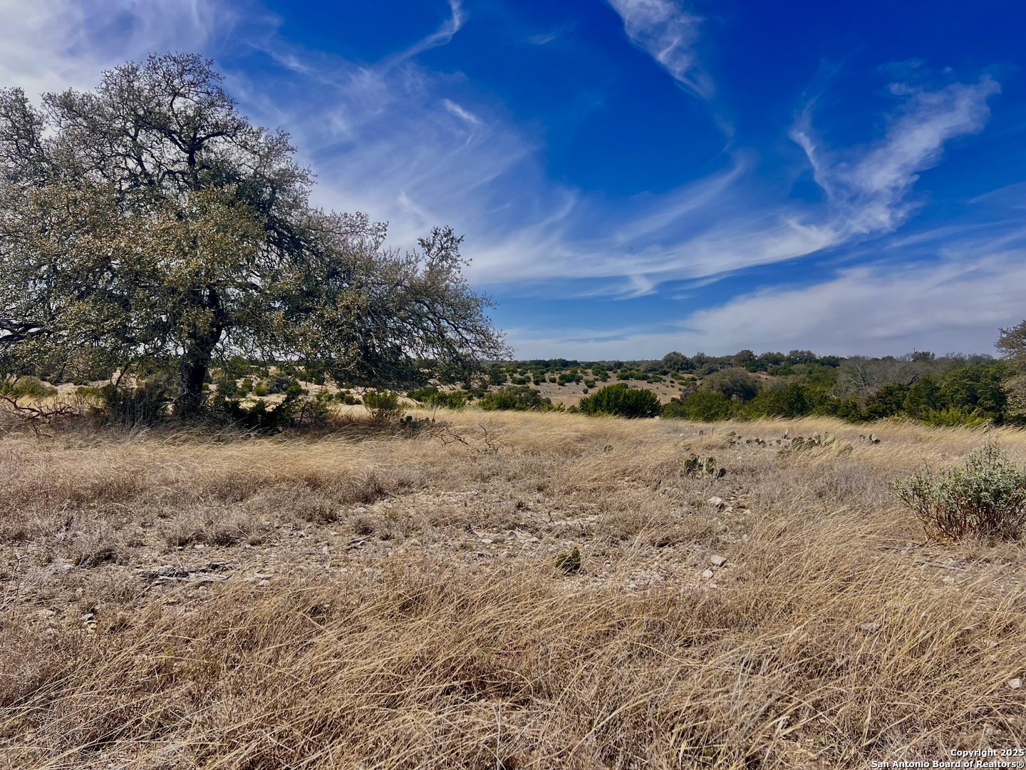 Lot 150 Cattlemans Crossing Kerrville TX 78028