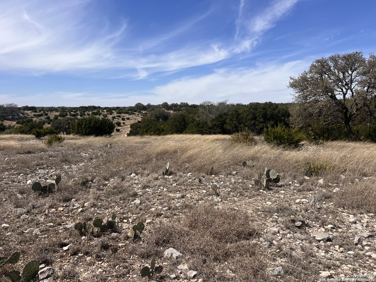 Lot 150 Cattlemans Crossing Kerrville TX 78028