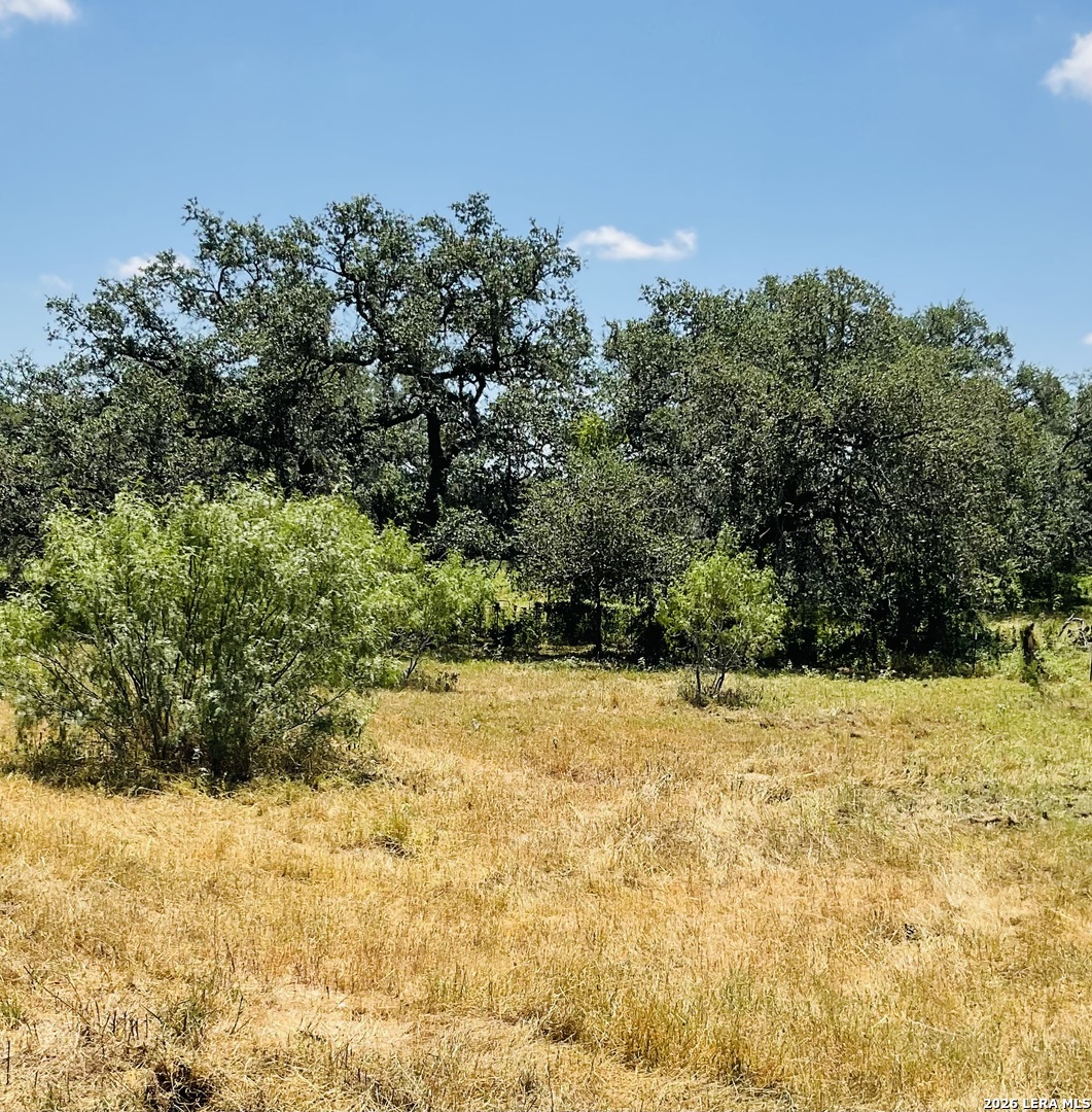 Tbd Lot 46 Hidden Meadows Poteet TX 78065