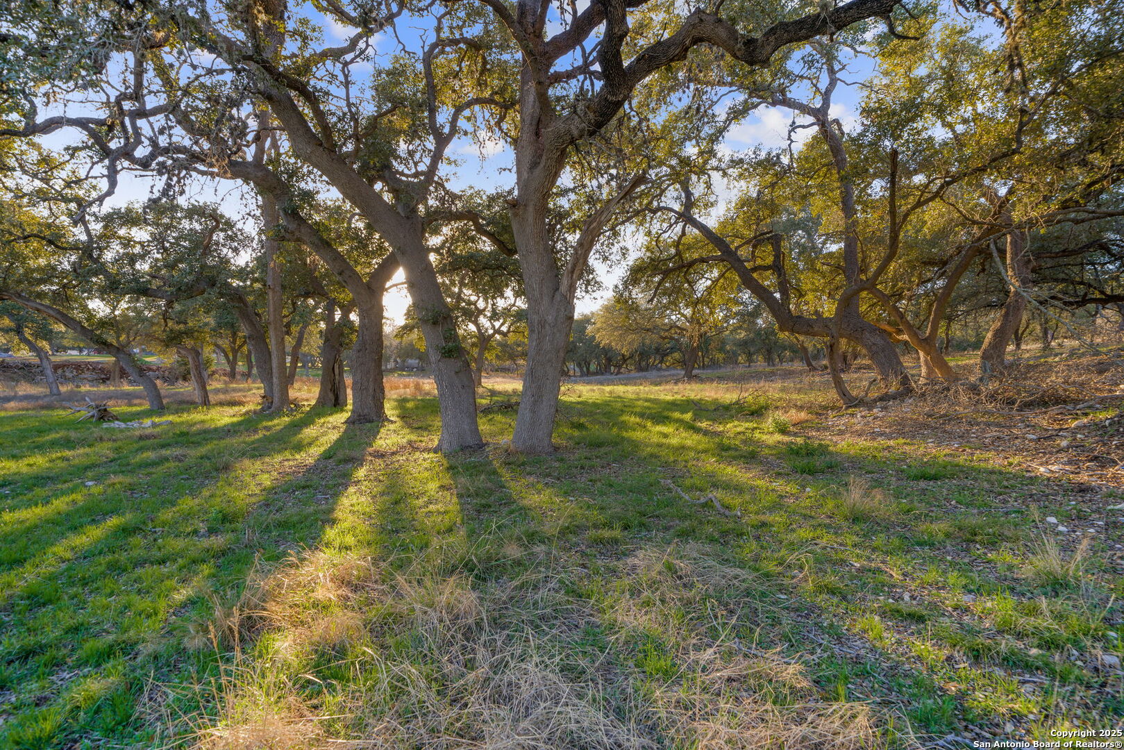 539 Clay Ridge Canyon Lake TX 78133