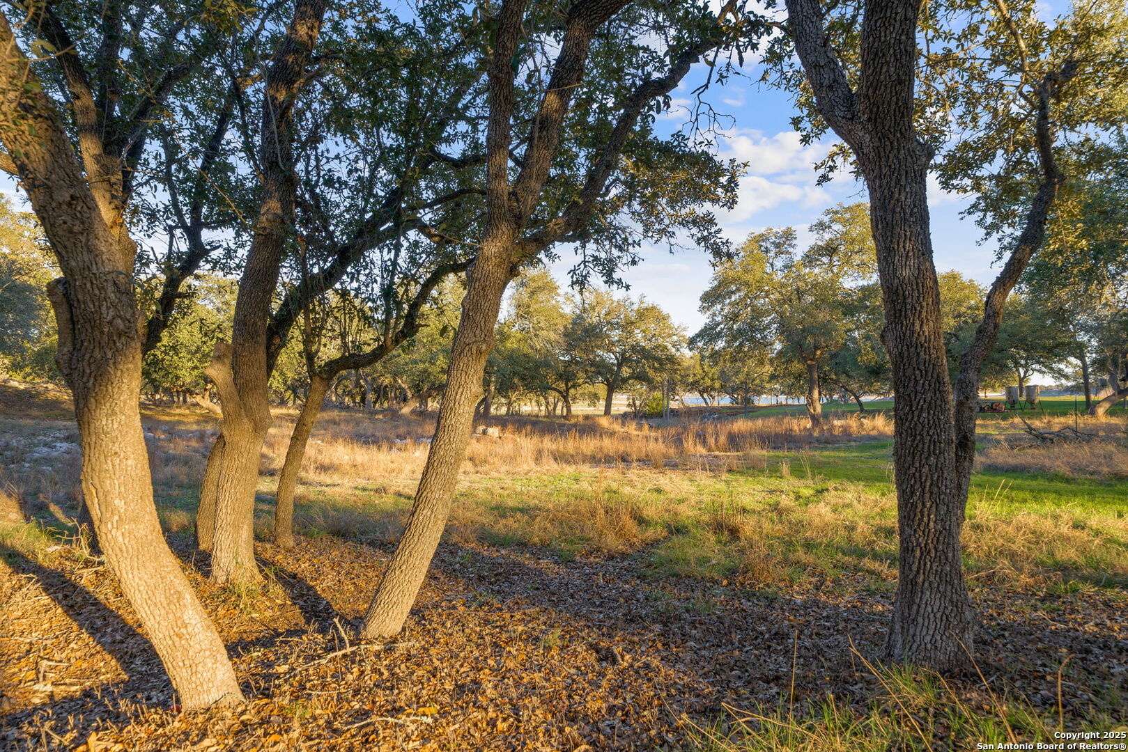 539 Clay Ridge Canyon Lake TX 78133