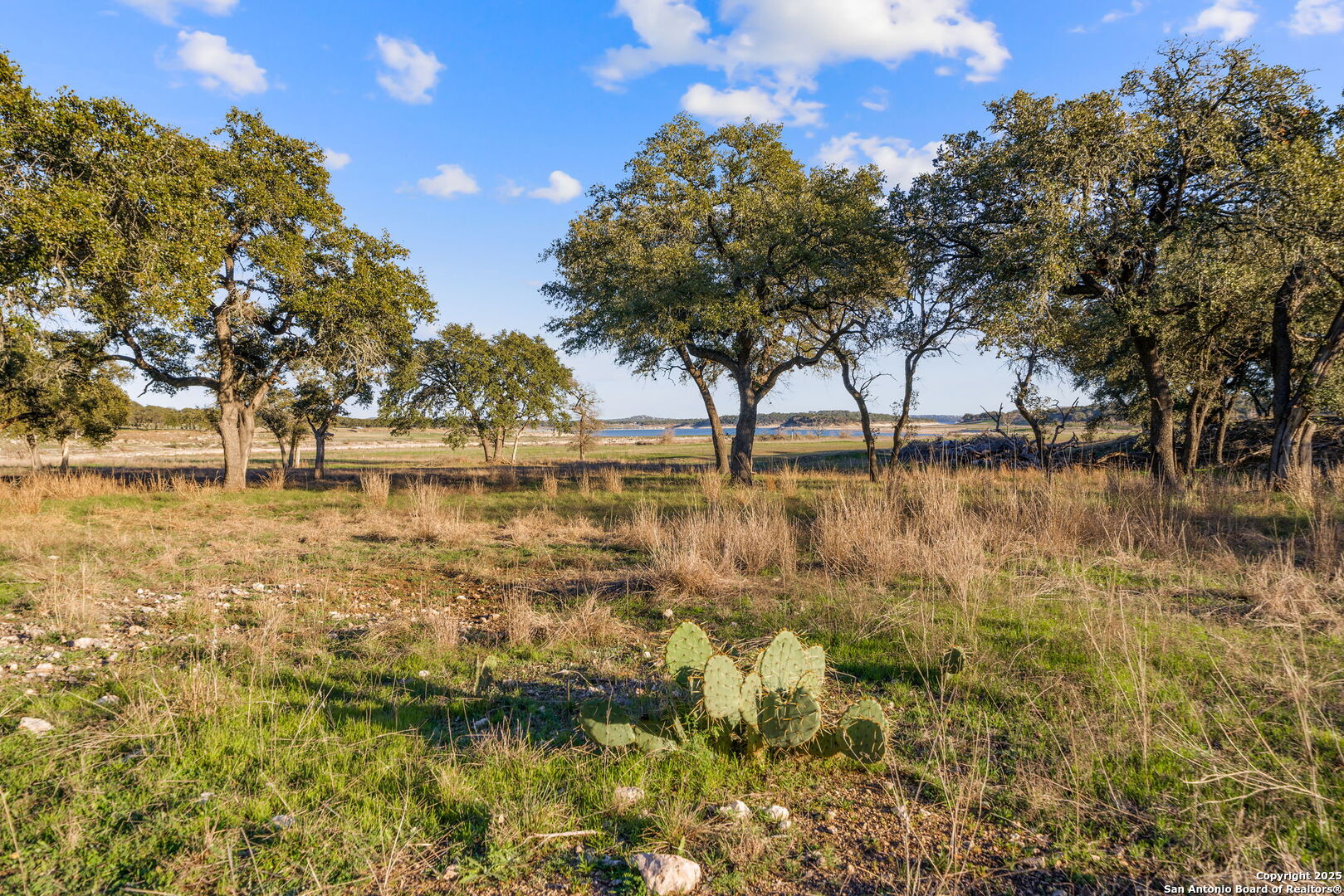 539 Clay Ridge Canyon Lake TX 78133