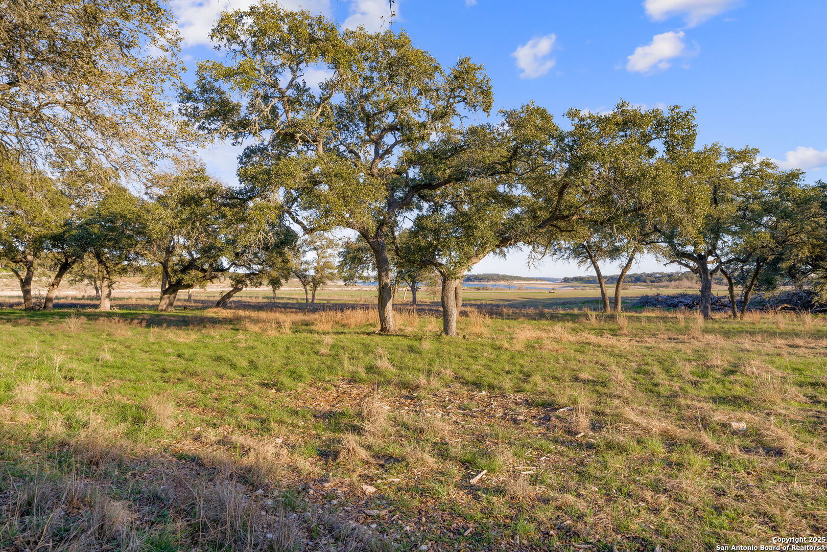 539 Clay Ridge Canyon Lake TX 78133