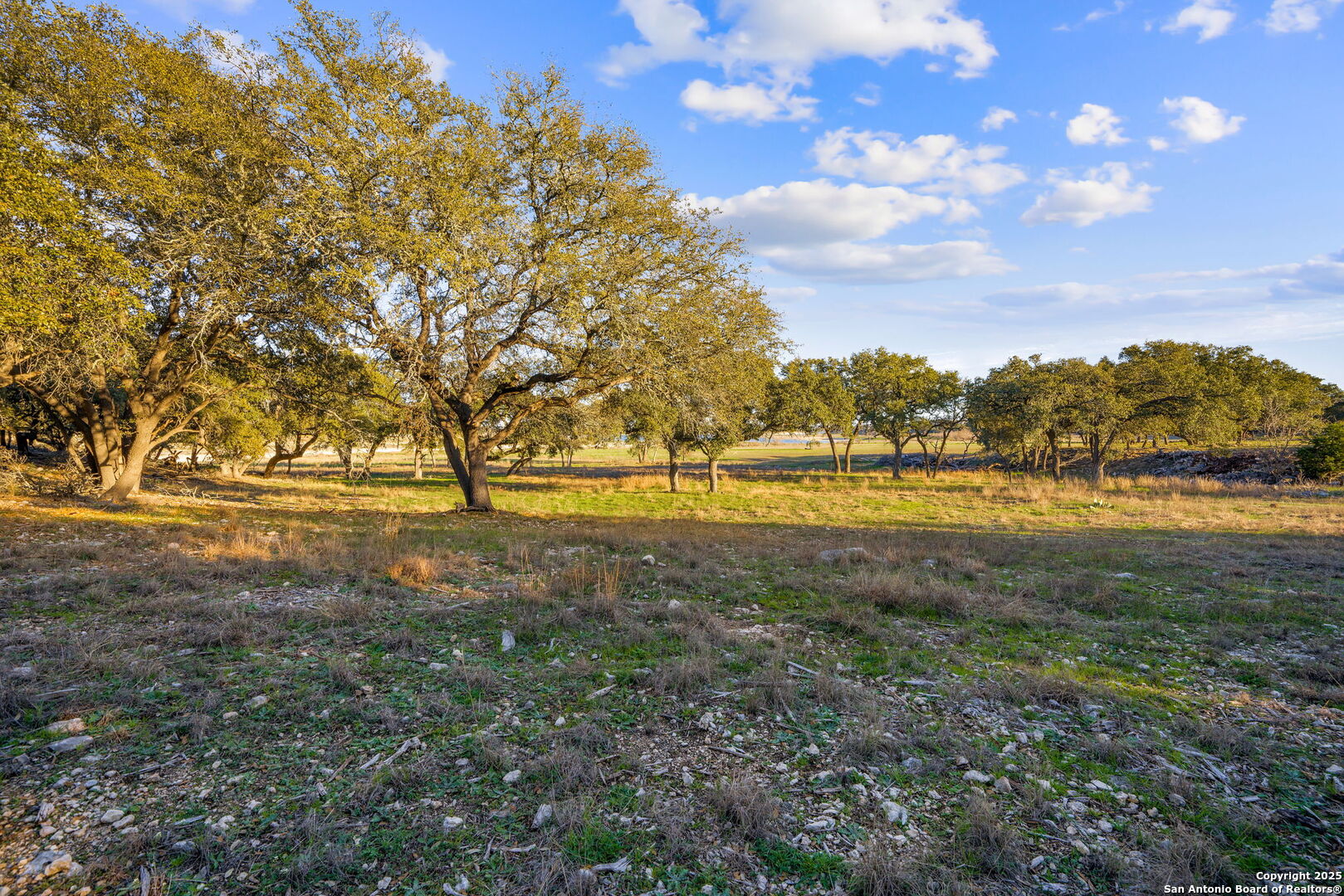 539 Clay Ridge Canyon Lake TX 78133