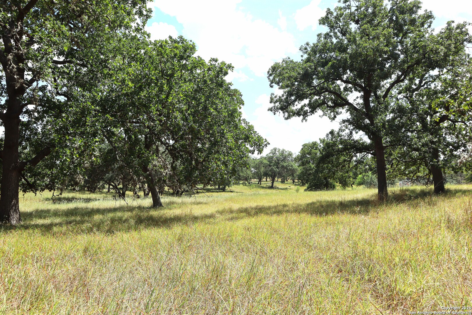 Lot 31 Orchard Park Boulevard Medina TX 78055