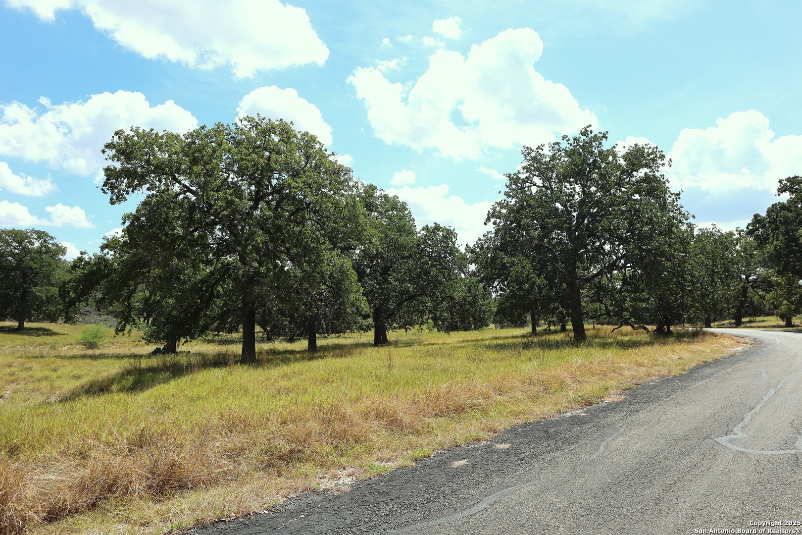 Lot 31 Orchard Park Boulevard Medina TX 78055