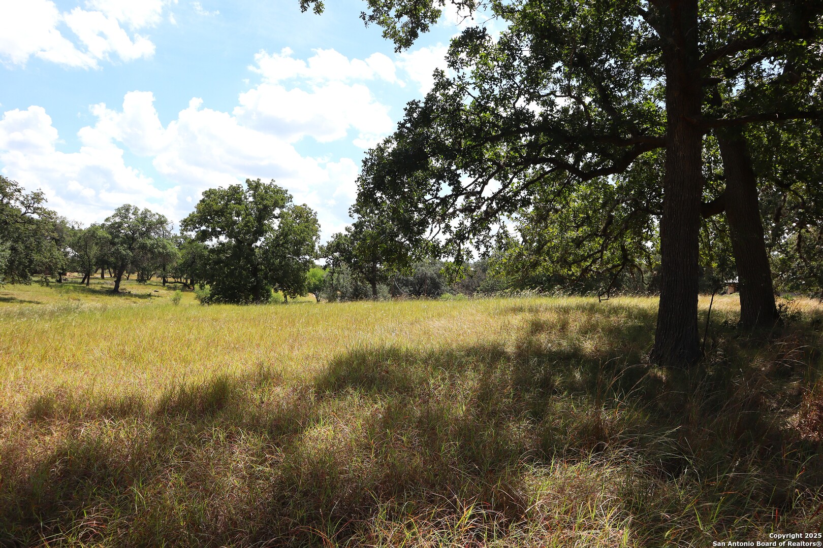 Lot 31 Orchard Park Boulevard Medina TX 78055