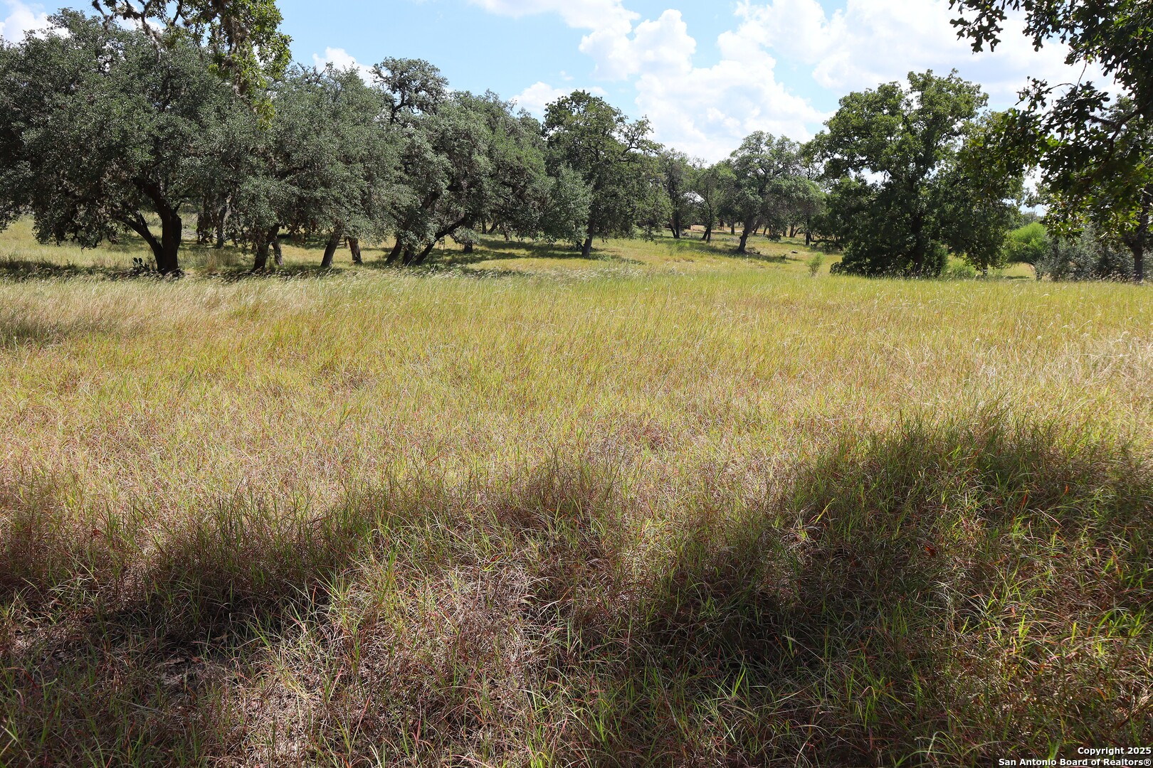 Lot 31 Orchard Park Boulevard Medina TX 78055
