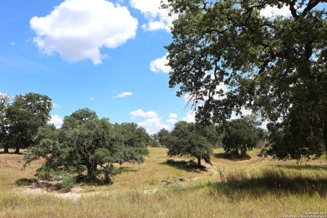 Lot 31 Orchard Park Boulevard Medina TX 78055