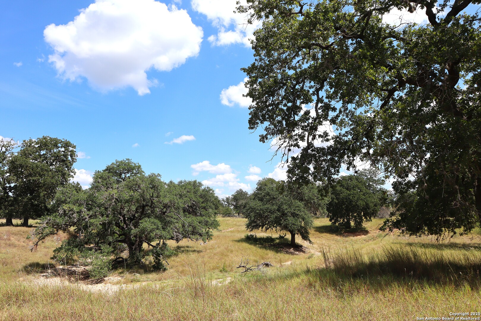 Lot 31 Orchard Park Boulevard Medina TX 78055