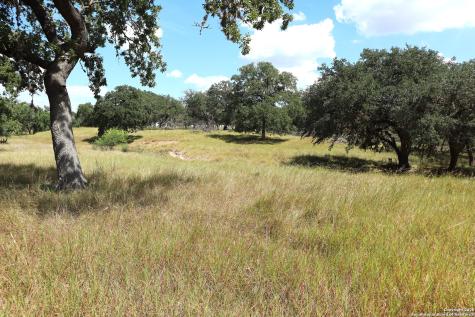 Lot 31 Orchard Park Boulevard Medina TX 78055