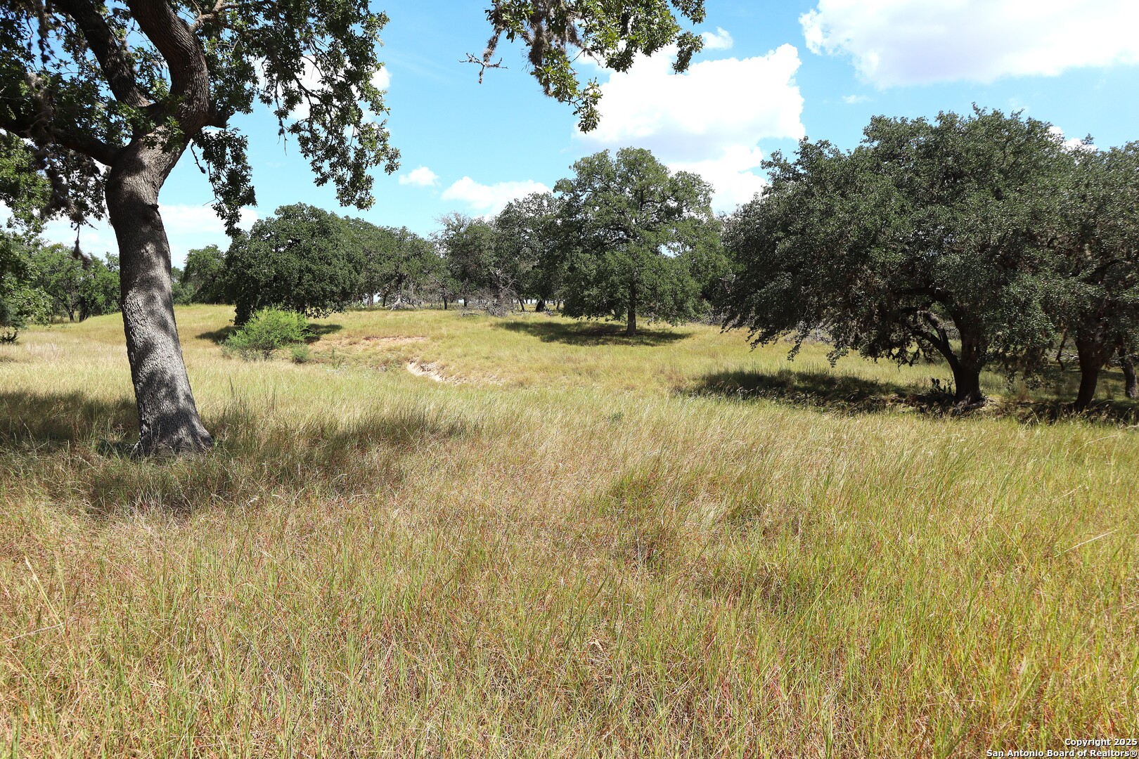 Lot 31 Orchard Park Boulevard Medina TX 78055