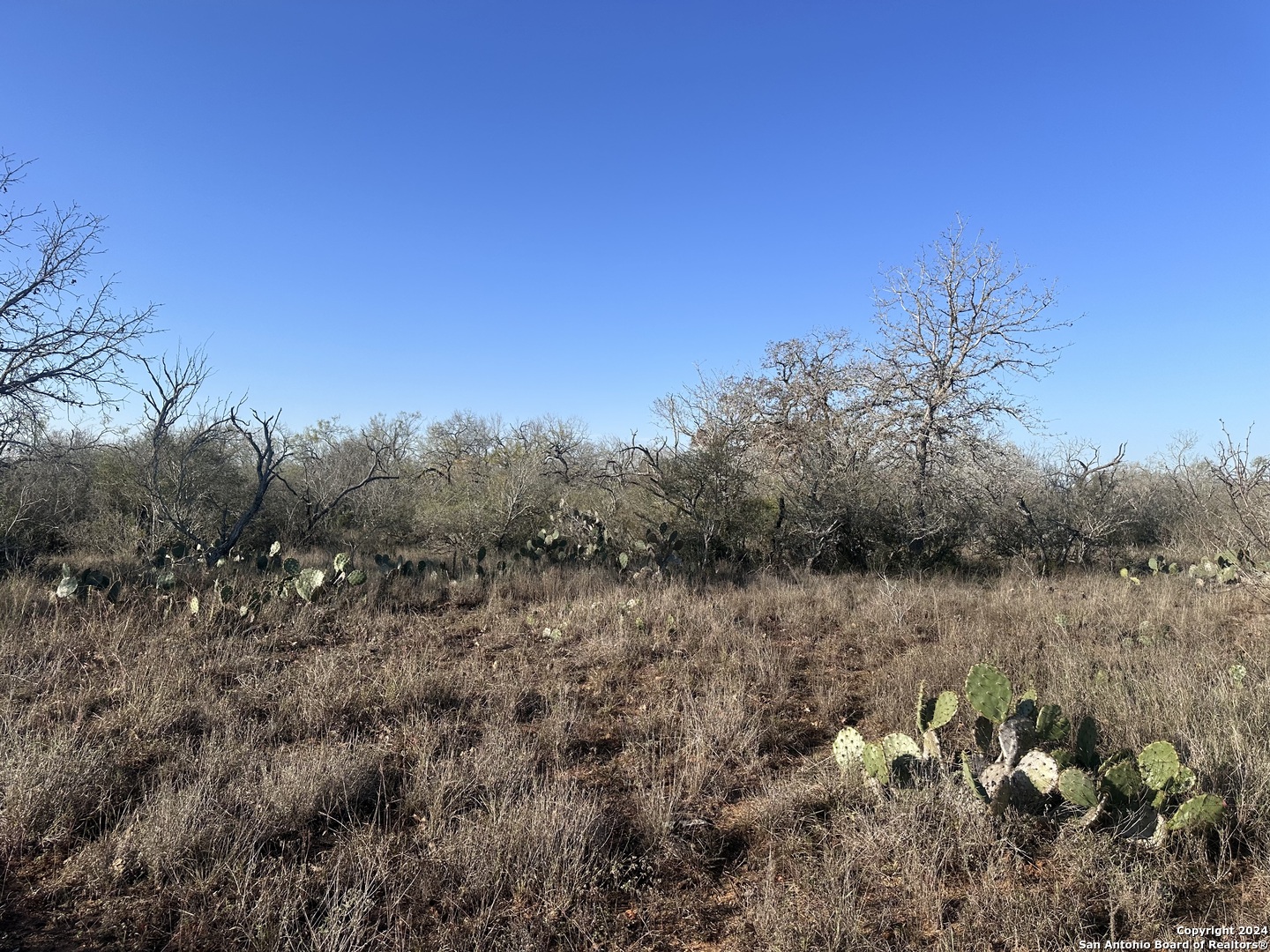 5870 County Road 405 Floresville TX 78114