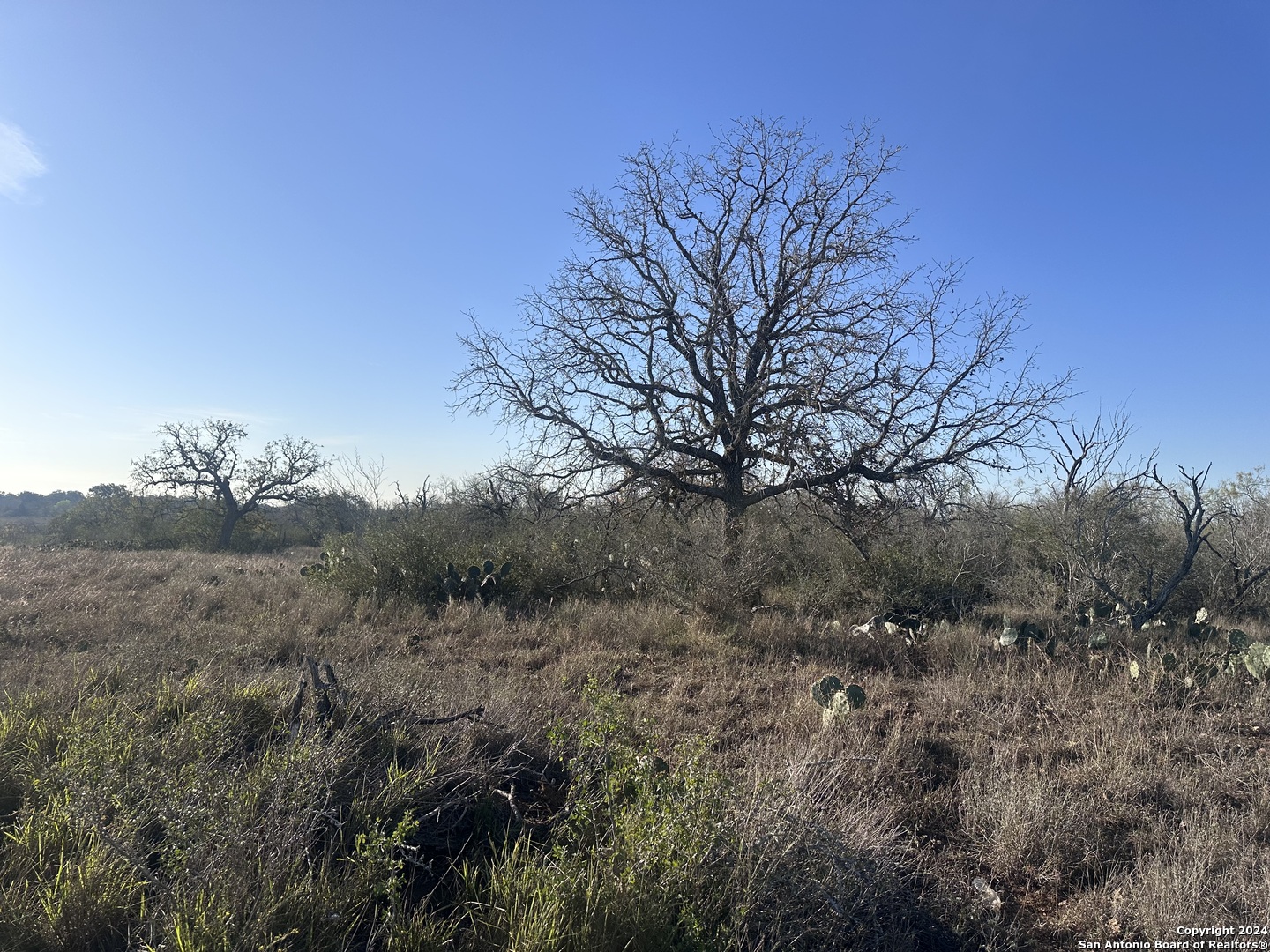 5870 County Road 405 Floresville TX 78114