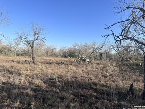 5870 County Road 405 Floresville TX 78114