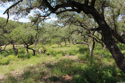 Lot 52 Clear Water Canyon Helotes TX 78023