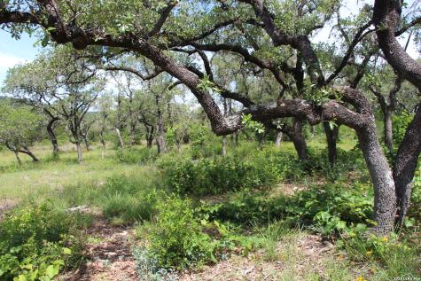 Lot 52 Clear Water Canyon Helotes TX 78023