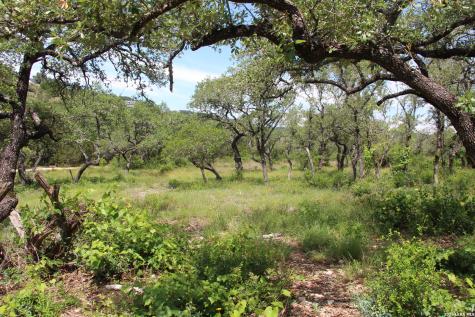 Lot 52 Clear Water Canyon Helotes TX 78023