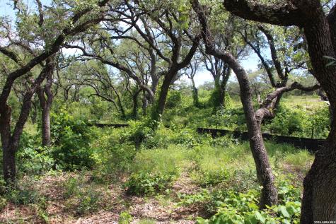 Lot 52 Clear Water Canyon Helotes TX 78023