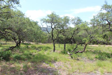 Lot 52 Clear Water Canyon Helotes TX 78023