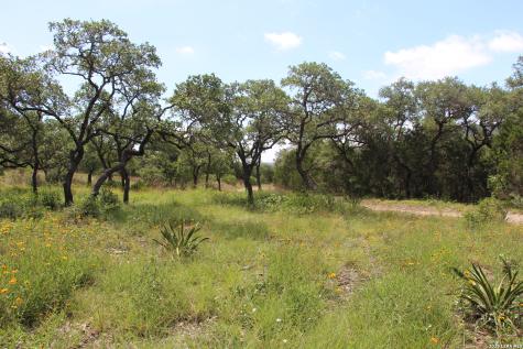 Lot 52 Clear Water Canyon Helotes TX 78023